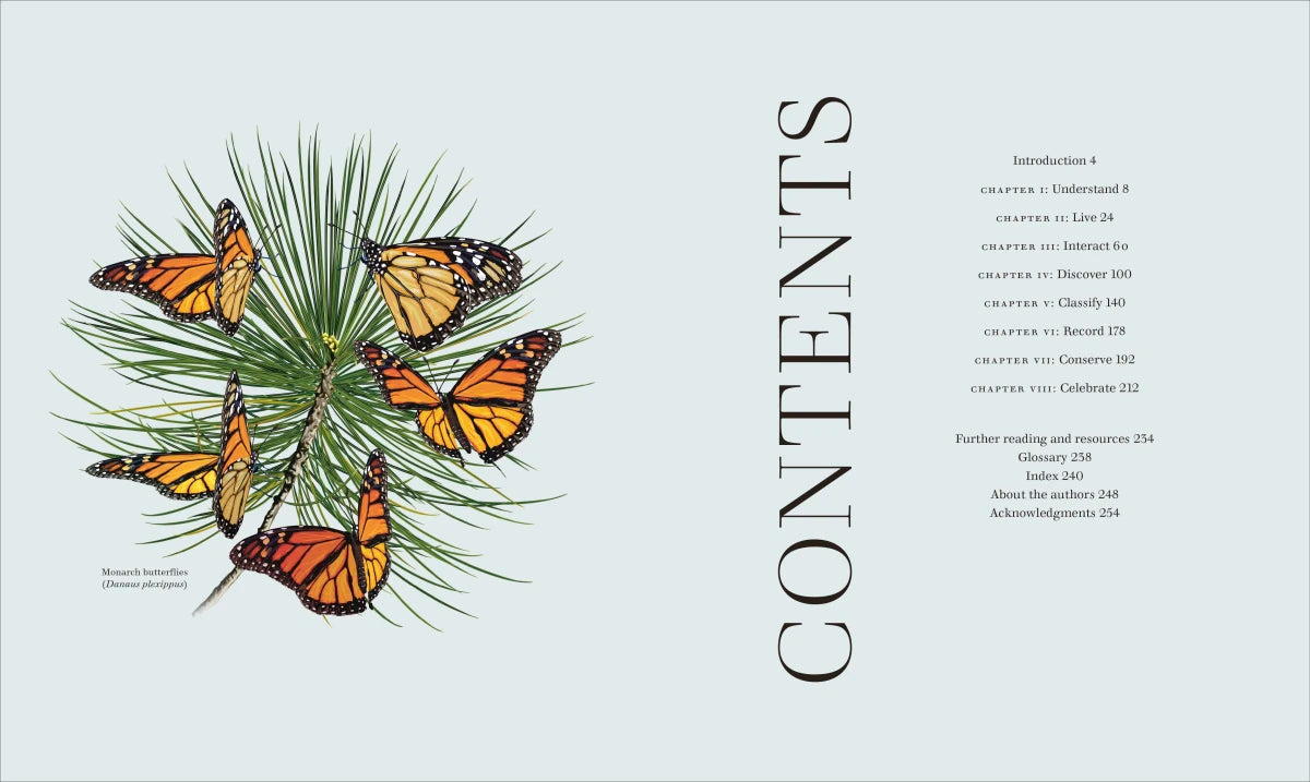 Insects US - Hardback