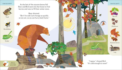Jonny Lambert's Bear and Bird Winter Wonderland Adventure US - Hardback