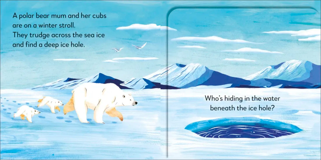 Pop-up Peekaboo! Winter US - Board book