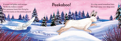 Pop-up Peekaboo! Winter US - Board book