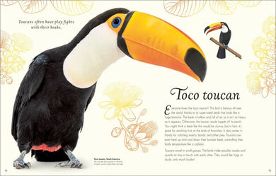 An Anthology of Exquisite Birds US - Hardback