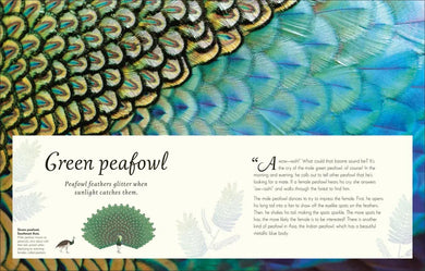 An Anthology of Exquisite Birds US - Hardback