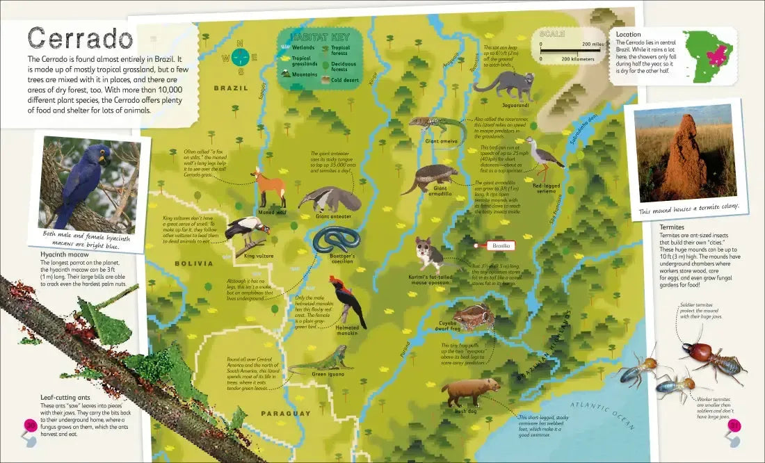 Children's Illustrated Atlas Collection US - Multiple-component retail product, boxed