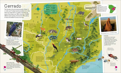 Children's Illustrated Atlas Collection US - Multiple-component retail product, boxed