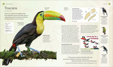 The Bird Book US - Hardback