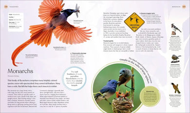 The Bird Book US - Hardback
