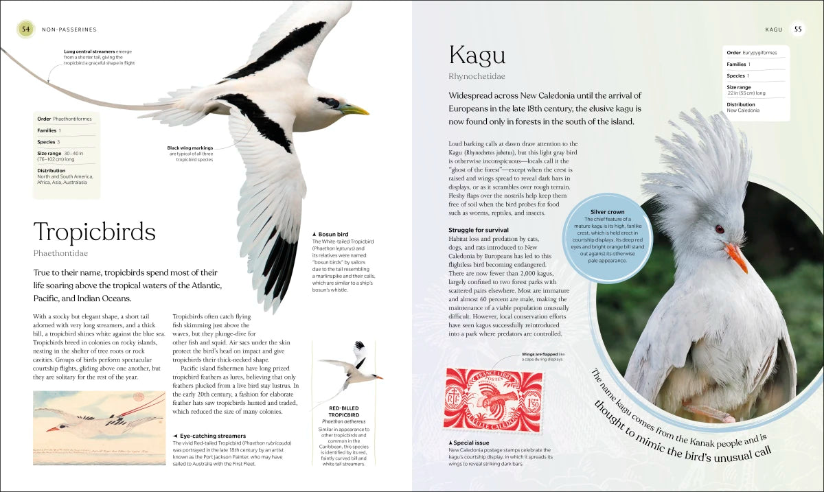 The Bird Book US - Hardback