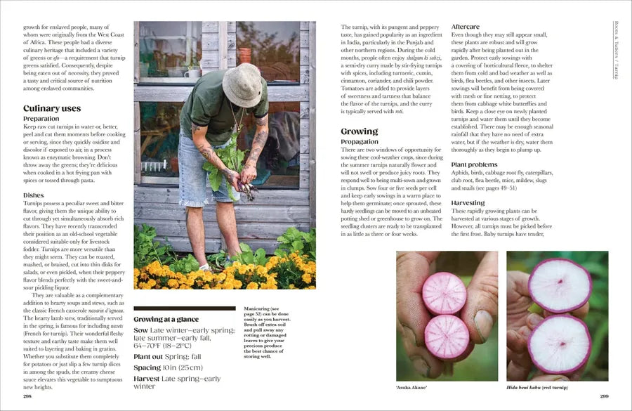 The Seed Hunter US - Hardback