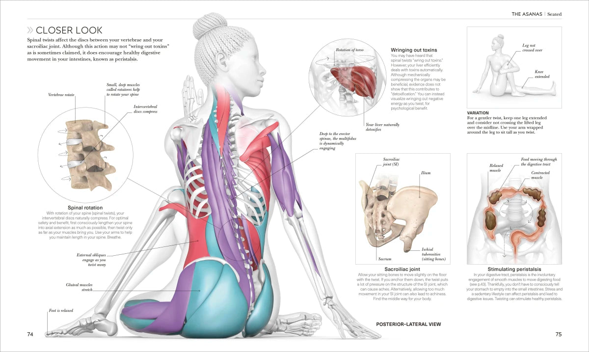 Science of Yoga US - Paperback / softback