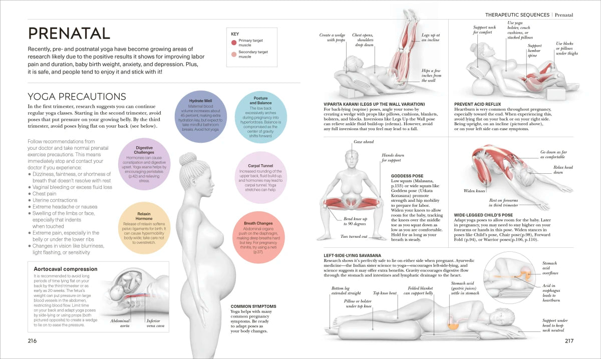 Science of Yoga US - Paperback / softback