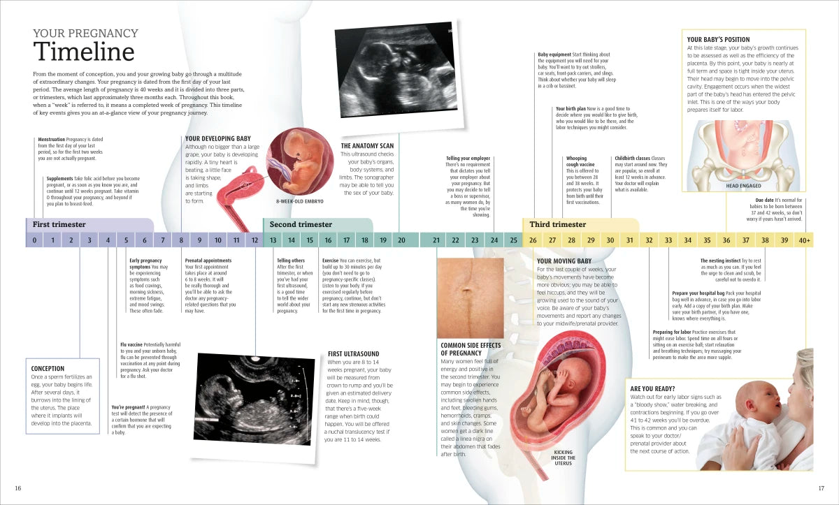 The Pregnancy Encyclopedia US - Hardback