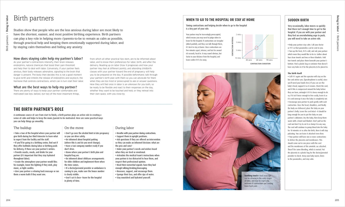 The Pregnancy Encyclopedia US - Hardback