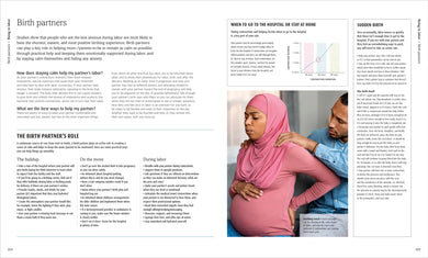 The Pregnancy Encyclopedia US - Hardback