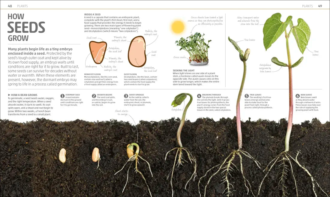 Explanatorium of Nature US - Hardback