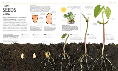 Explanatorium of Nature US - Hardback