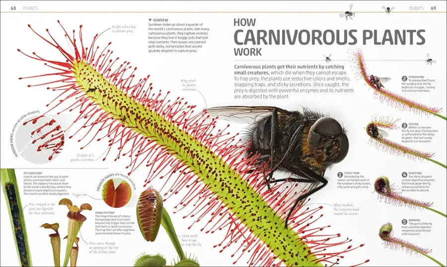 Explanatorium of Nature US - Hardback