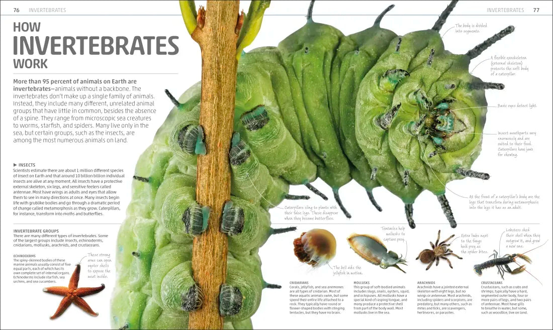 Explanatorium of Nature US - Hardback