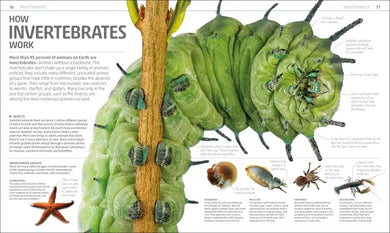 Explanatorium of Nature US - Hardback
