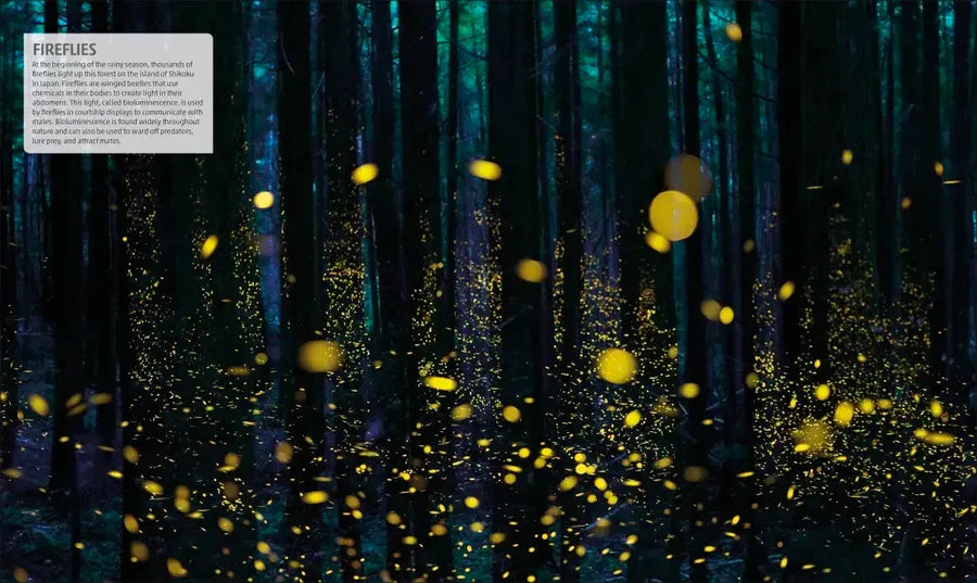 Explanatorium of Nature US - Hardback