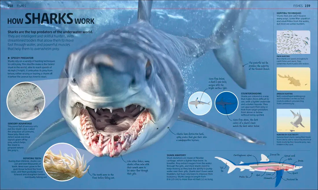 Explanatorium of Nature US - Hardback