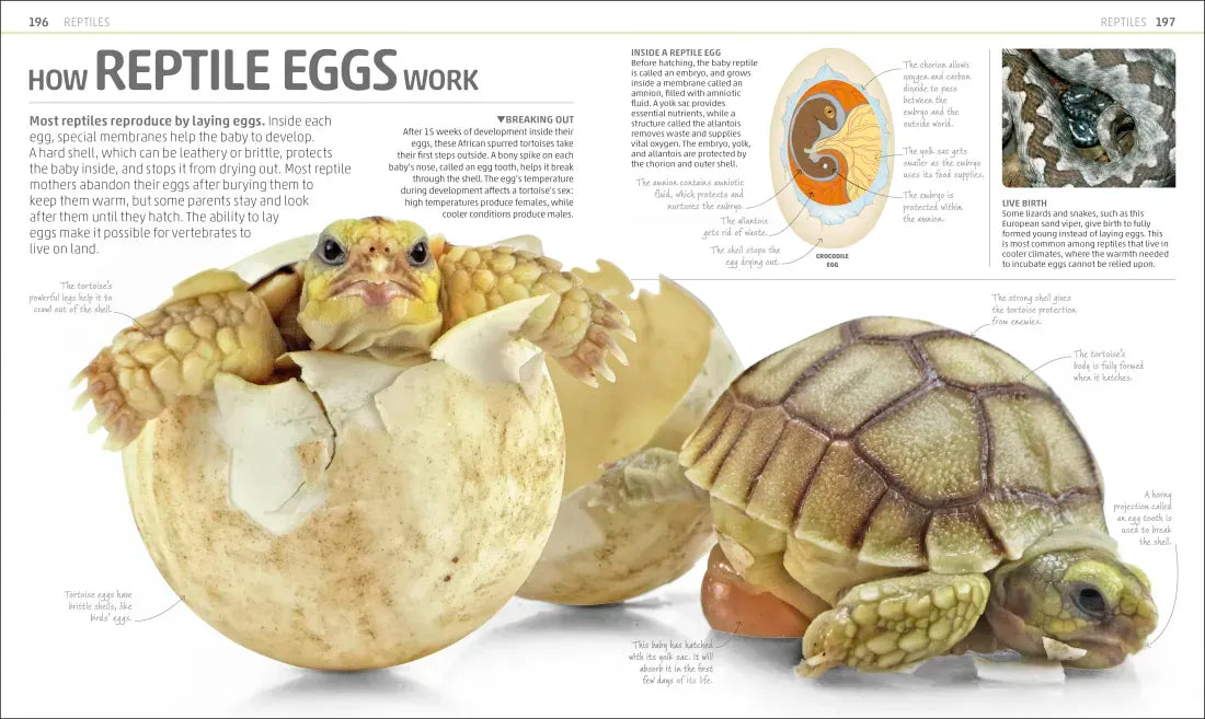 Explanatorium of Nature US - Hardback