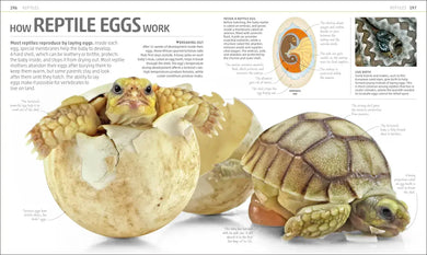 Explanatorium of Nature US - Hardback