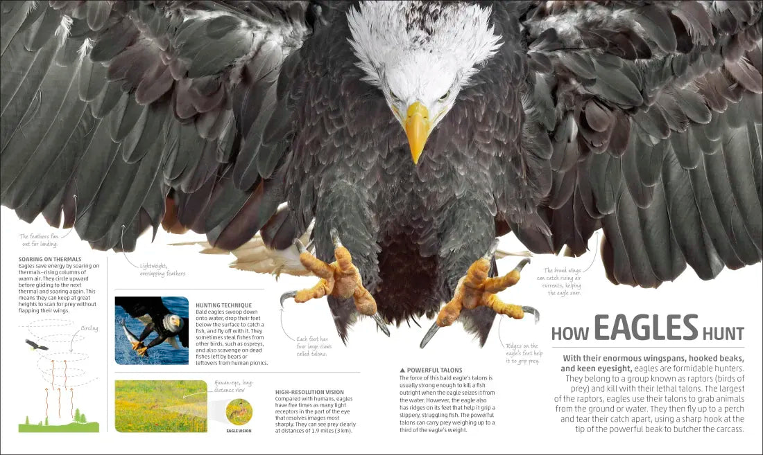 Explanatorium of Nature US - Hardback