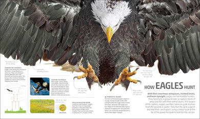 Explanatorium of Nature US - Hardback