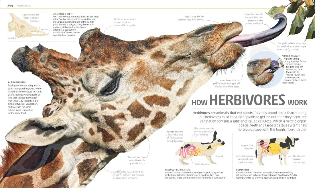 Explanatorium of Nature US - Hardback