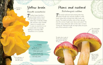 An Anthology of Fungi US - Hardback
