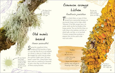 An Anthology of Fungi US - Hardback