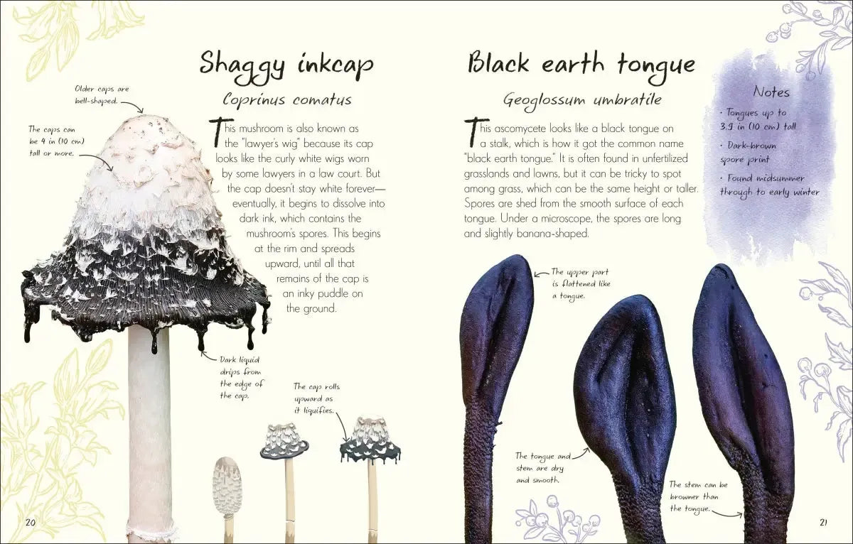 An Anthology of Fungi US - Hardback