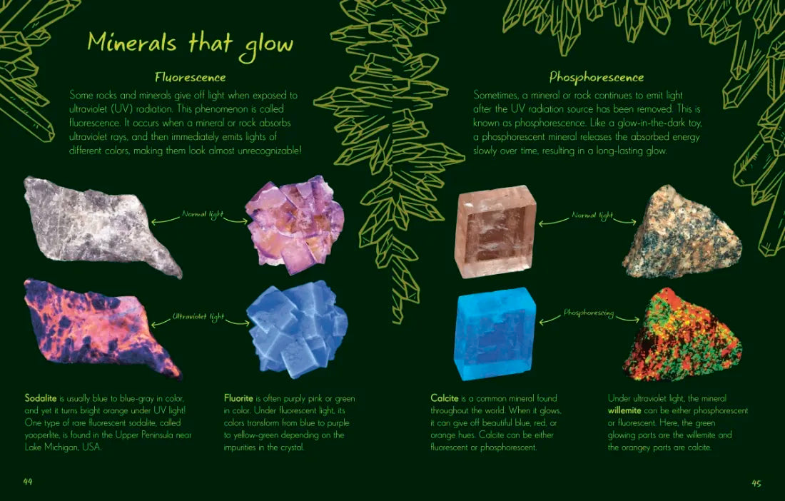 An Anthology of Rocks and Minerals US - Hardback