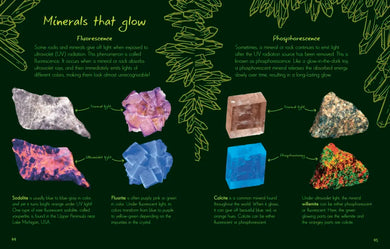 An Anthology of Rocks and Minerals US - Hardback