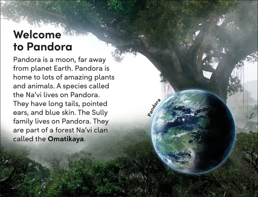 DK Super Readers Level 2 Avatar Sullys Stick Together US - Paperback / softback