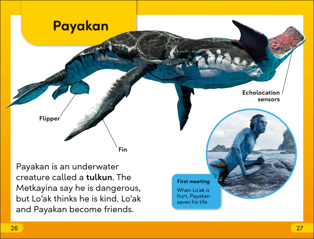 DK Super Readers Level 2 Avatar Sullys Stick Together US - Paperback / softback