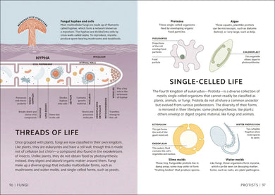 Simply Science US - Hardback