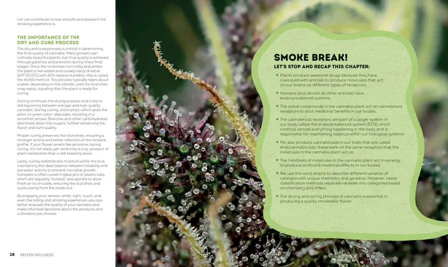 Reefer Wellness US - Hardback