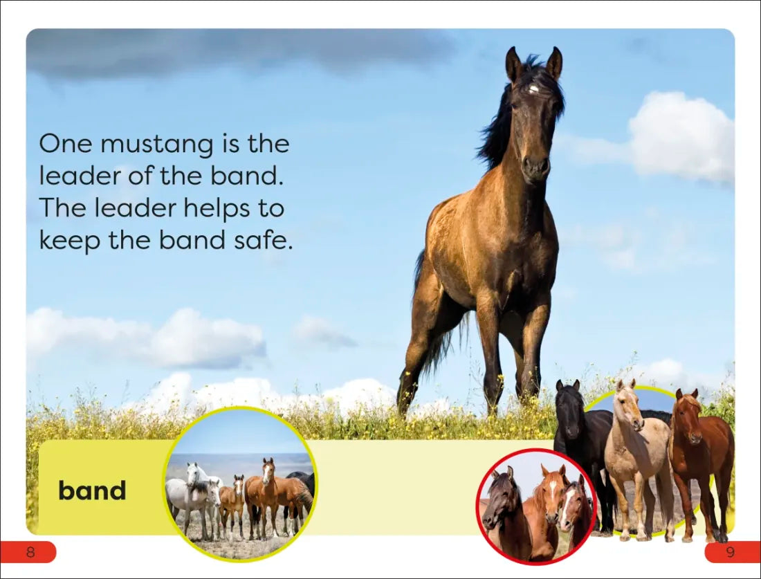 DK Super Readers Pre-Level A Mustang's Tale US - Hardback