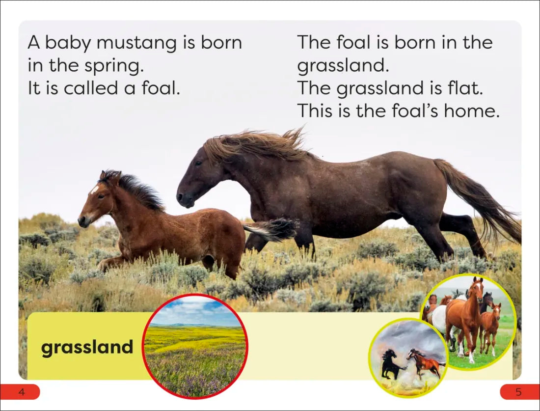 DK Super Readers Pre-Level A Mustang's Tale US - Hardback