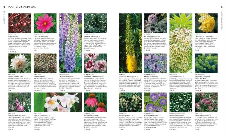 Encyclopedia of Garden Plants for Every Location US - Hardback