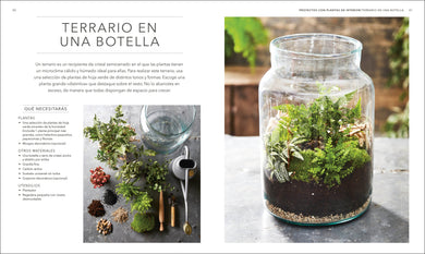 Plantas de interior (Houseplant) interior 1 (ISBN 9780593848036)