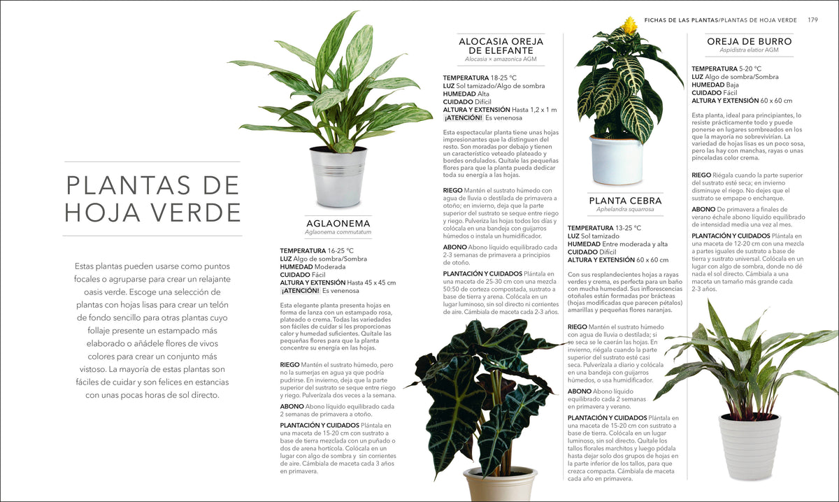 Plantas de interior (Houseplant) interior 3 (ISBN 9780593848036)
