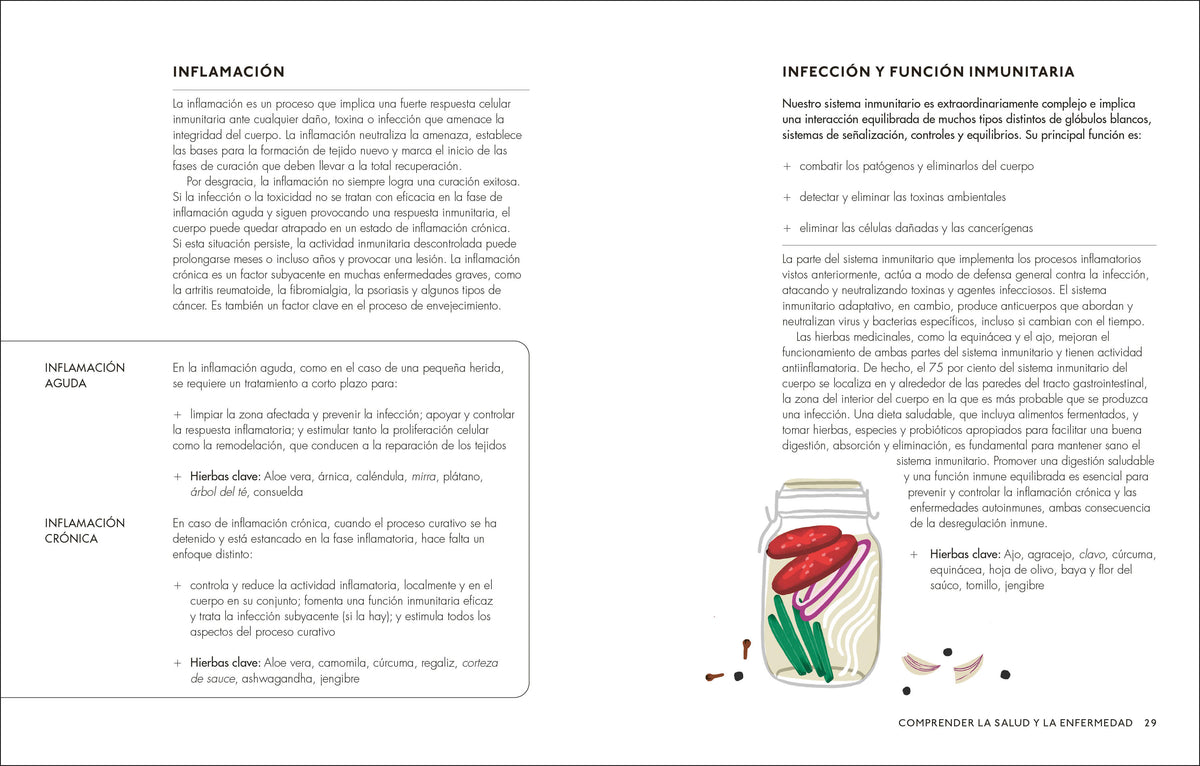 Plantas medicinales (The Home Herbal) interior 1 (ISBN 9780593848043)