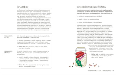 Plantas medicinales (The Home Herbal) interior 1 (ISBN 9780593848043)