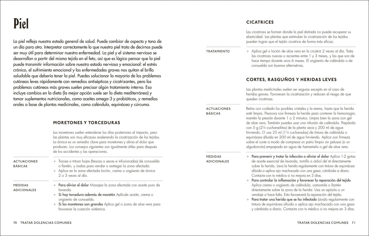 Plantas medicinales (The Home Herbal) interior 5 (ISBN 9780593848043)
