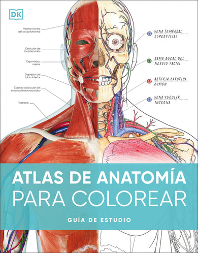Atlas de anatomía para colorear (The Human Body Coloring Book) cover (ISBN 9780593848098)