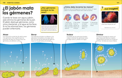 ¿Sabías qué? Cuerpo humano (Did You Know? Human Body) interior 5 (ISBN 9780593848142)