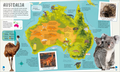 Mi primer atlas de animales (Children's Illustrated Animal Atlas) interior 2 (ISBN 9780593848166)