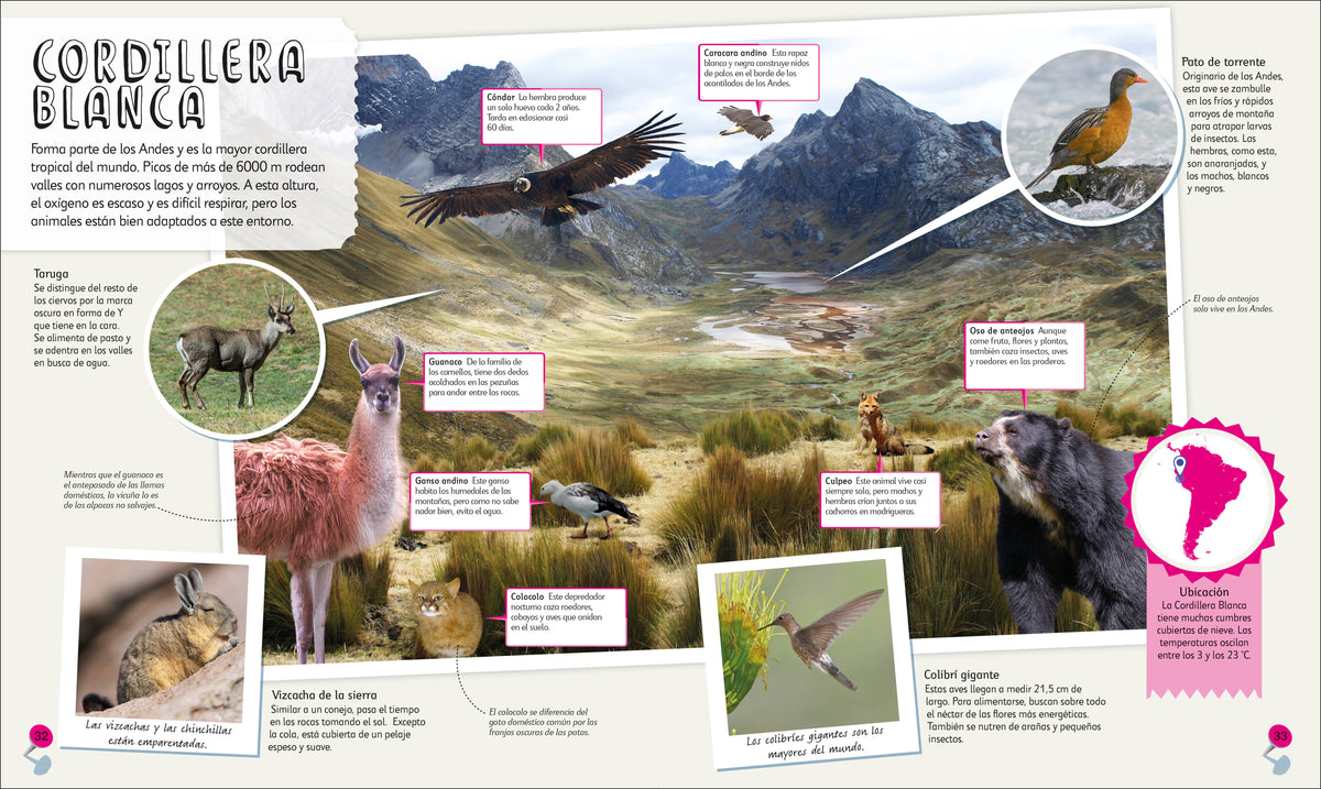 Mi primer atlas de animales (Children's Illustrated Animal Atlas) interior 3 (ISBN 9780593848166)